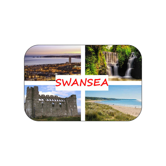 FM24 FRIDGE MAGNET SWANSEA