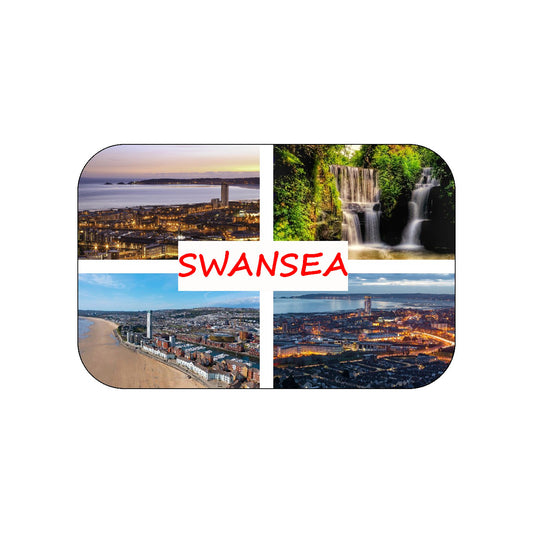 FM25 FRIDGE MAGNET SWANSEA