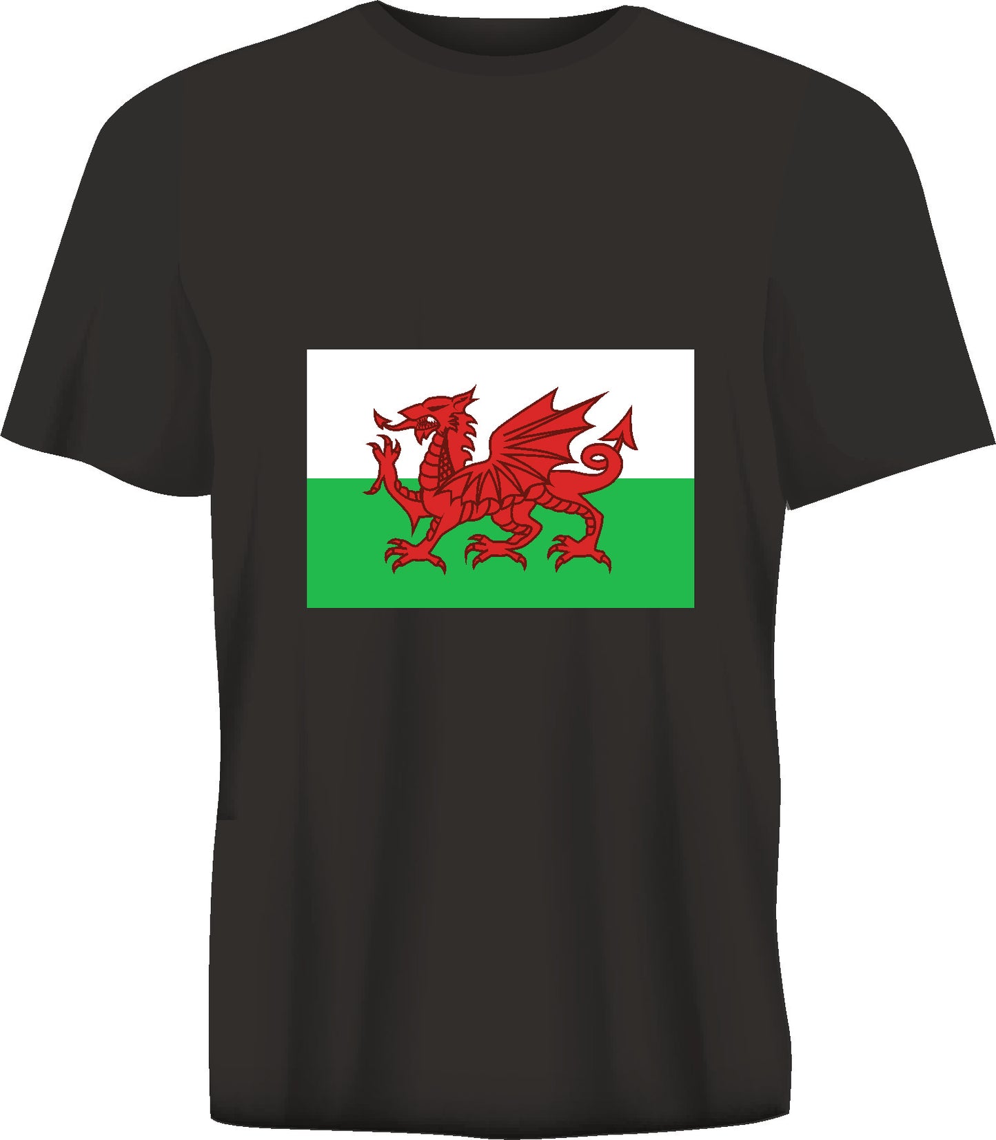 Short sleeve t-shirt WALES FALG  black TS223