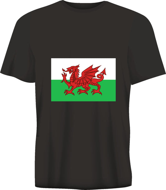 Short sleeve t-shirt WALES FALG  black TS223